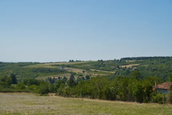 Landschaft der Fruška Gora mit Hügeln, Feldern und Bäumen unter klarem Himmel, ideal für das Interieur.