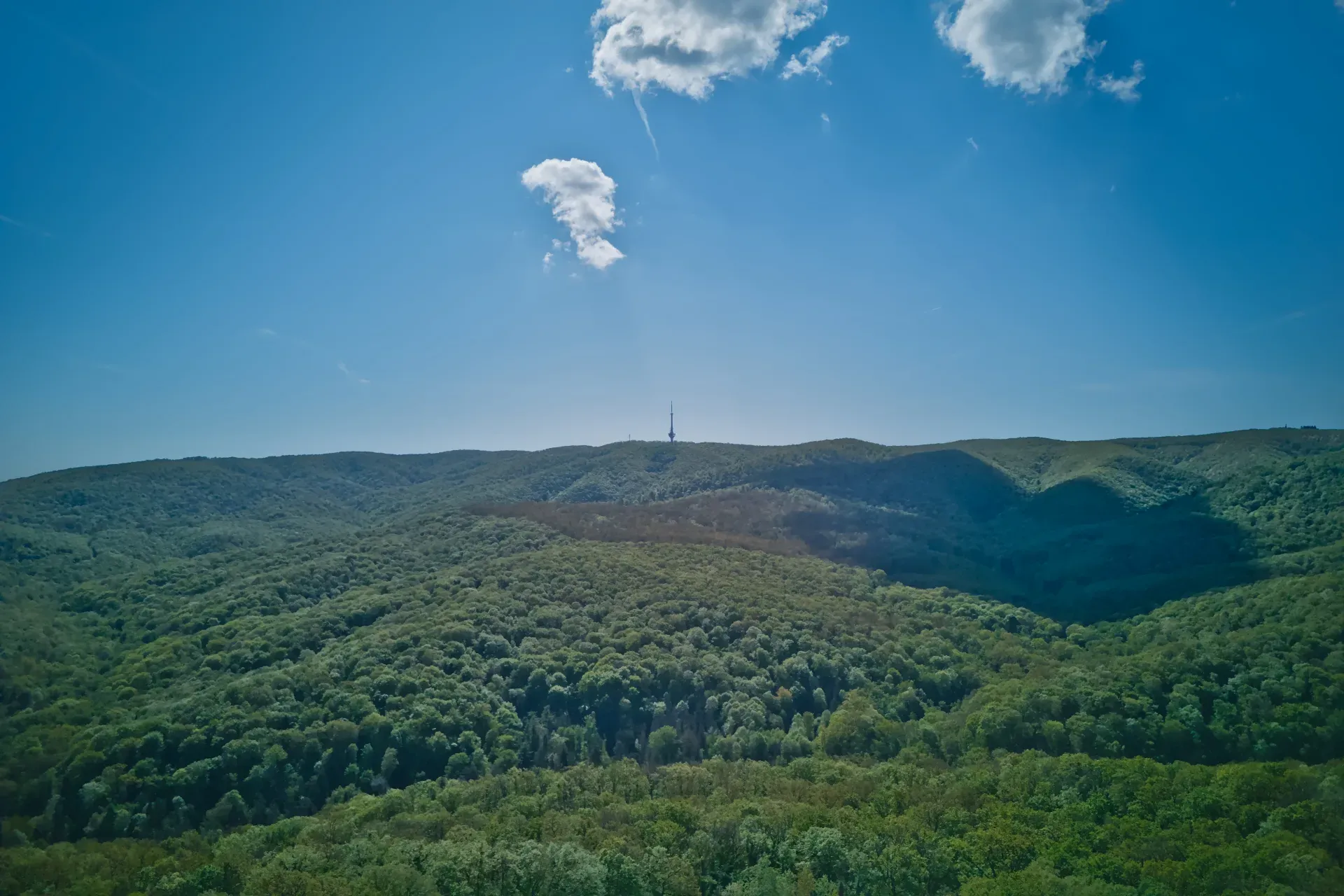 Vista della montagna Fruska Gora e della torre televisiva dalle alture di Orlov Bojista.