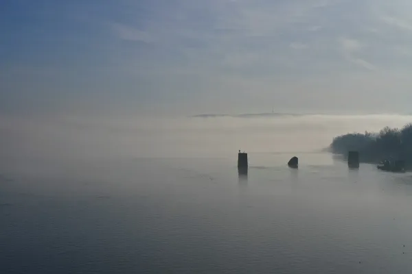 Туман над рекой Дунай, вид с Варадинского моста, серый туман, вода.