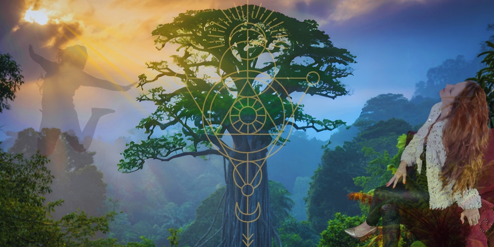 Eine große Baumkrone im Mittelpunkt eines nebligen, bewaldeten Tals bei Sonnenlicht. Daneben sitzt eine Frau entspannt mit dem Kopf nach hinten geneigt, während eine schemenhafte Silhouette springend im Sonnenlicht erscheint.