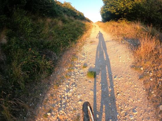 A dirt path stretches through greenery, with a long shadow cast by a cyclist in the foreground. The scene is illuminated by warm, golden sunlight, creating a serene outdoor atmosphere.