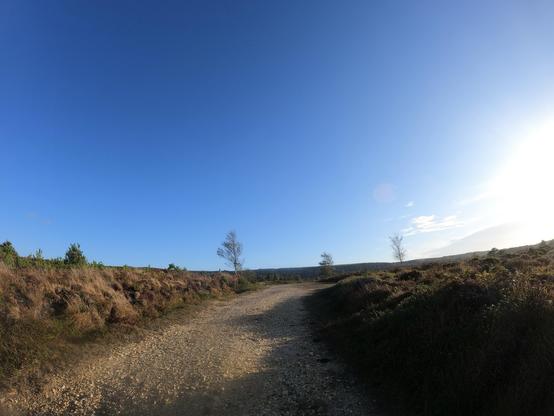 A scenic view of a dirt pathway winding through a landscape with patches of grass and small trees, under a clear blue sky. The sun is shining in the corner, casting a bright light over the scene.