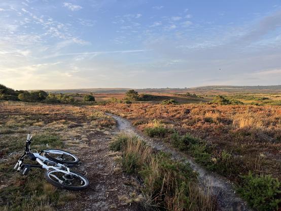 A white mountain bike is lying on a grassy trail, surrounded by a colorful landscape of heather and shrubs under a blue sky with scattered clouds. The scene captures a serene outdoor setting with rolling hills in the background.