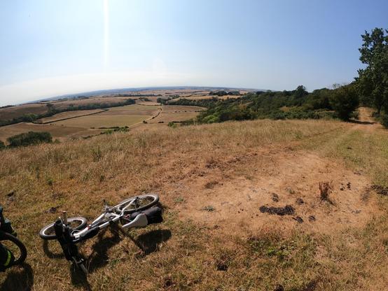 A landscape view featuring golden fields and rolling hills under a clear blue sky. A bicycle is lying on the ground in the foreground, surrounded by dry grass. Trees are visible in the distance.