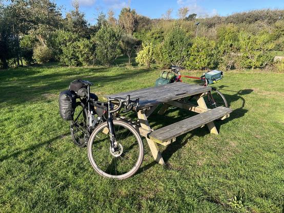 Two bicycles are parked next to a wooden picnic table in a grassy area, surrounded by trees and shrubs under a clear blue sky.