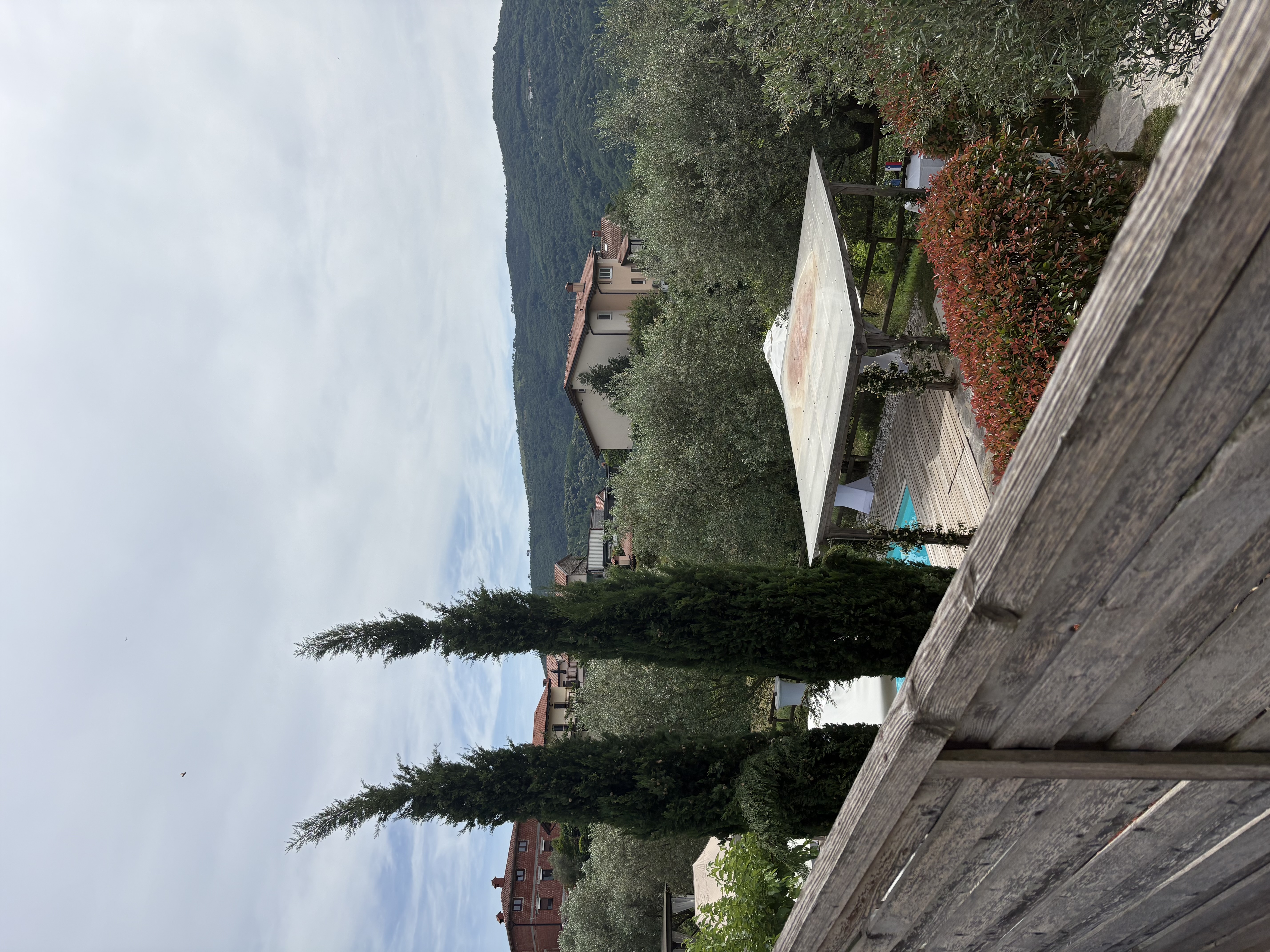 IMG_9492.jpeg
