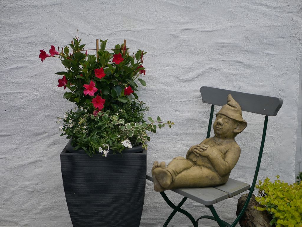Eine Gartenfigur eines kleinen Zwerges sitzt entspannt auf einem grauen Gartenstuhl neben einem schwarzen Blumentopf mit grünen und blühenden Pflanzen vor einer weißen Mauer.