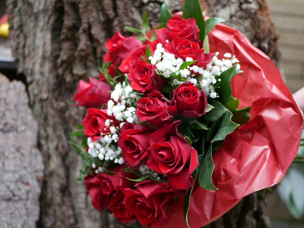 Ein Bouquet aus roten Rosen mit weißen Babysbreath-Blumen und grünen Blättern, eingepackt in rotes Papier, vor einem Baumstamm platziert.