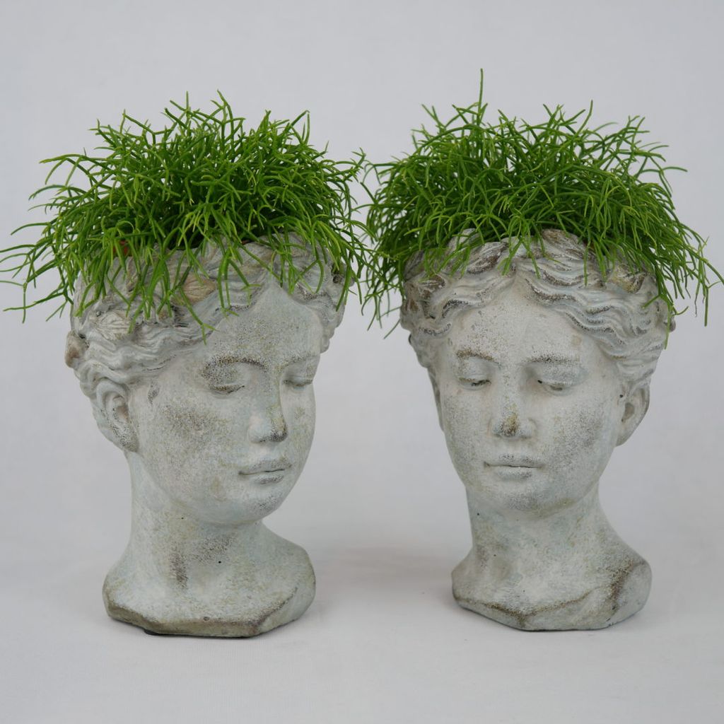 Zwei graue Skulpturen von Frauenköpfen als Pflanzgefäße mit grünen, buschigen Pflanzen, die wie Haare aussehen.