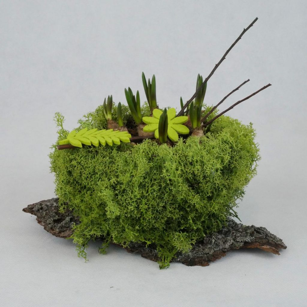 Kleine grüne Dekoration aus Moos, Pflanzenzwiebeln, dünnen Ästen und grünen Holzblättern auf einem Stück Baumrinde vor hellem Hintergrund.