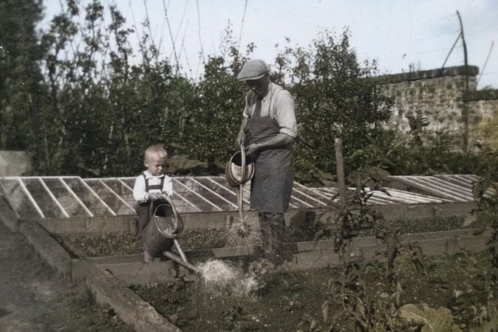 Ein Mann mit Schürze und ein kleines Kind gießen Pflanzen im Garten mit Gießkannen neben einem Gewächshaus und einer Steinmauer.