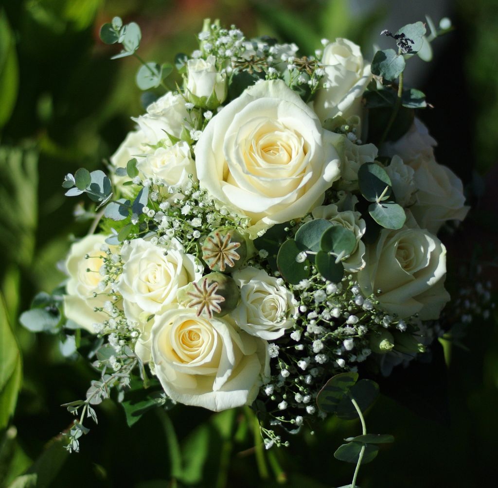 Ein Strauß aus cremefarbenen Rosen, Schleierkraut und verschiedenen grünen Blättern in natürlichem Licht, vor unscharfem grünem Hintergrund.