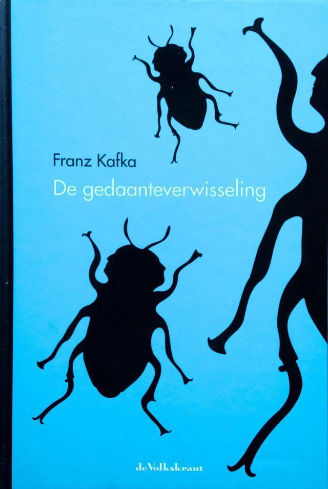 Omslag van De gedaanteverwisseling