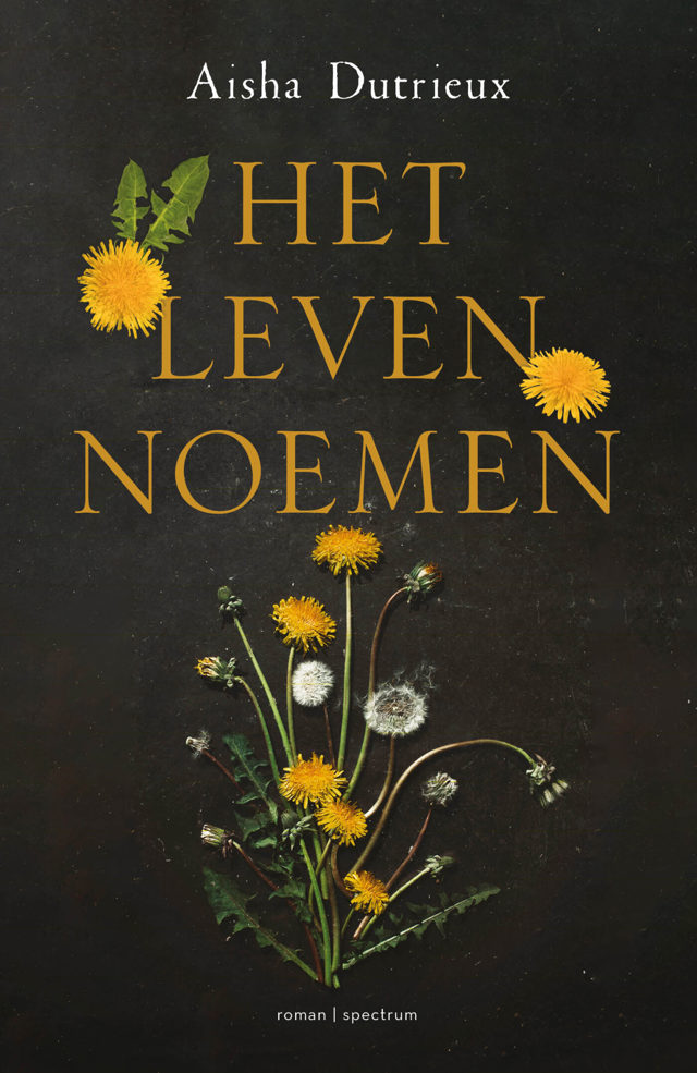 Omslag van Het leven noemen