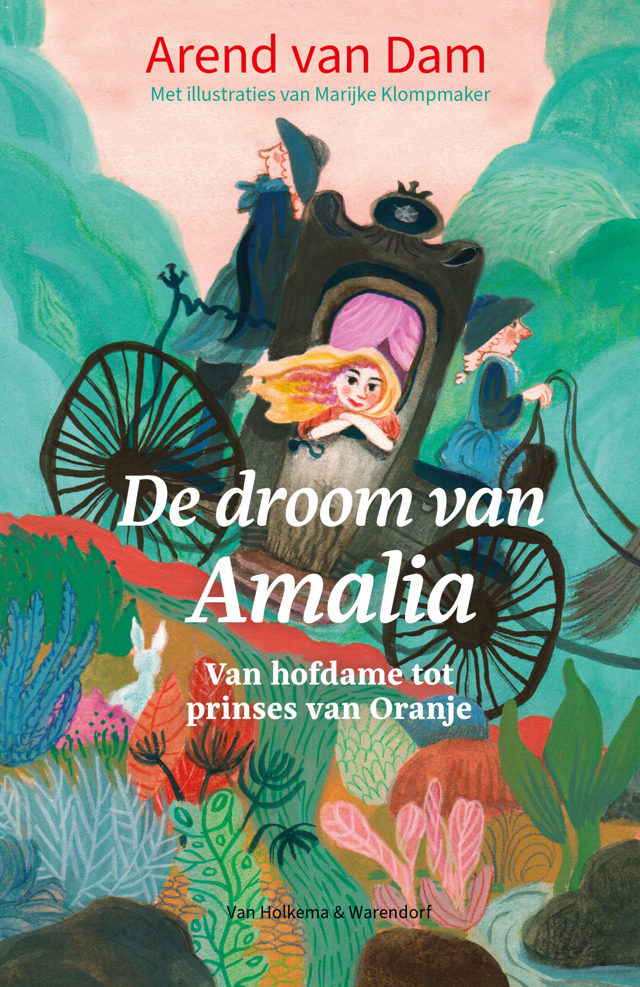 Omslag van De droom van Amalia
