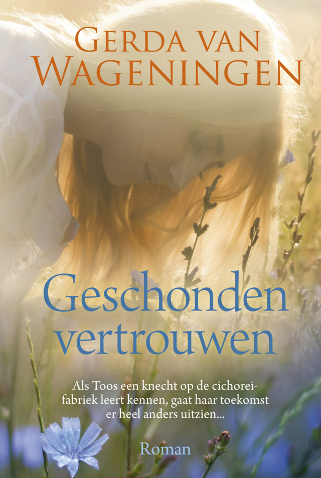 Omslag van Geschonden vertrouwen