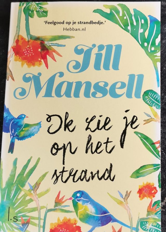 Omslag van Ik zie je op het strand
