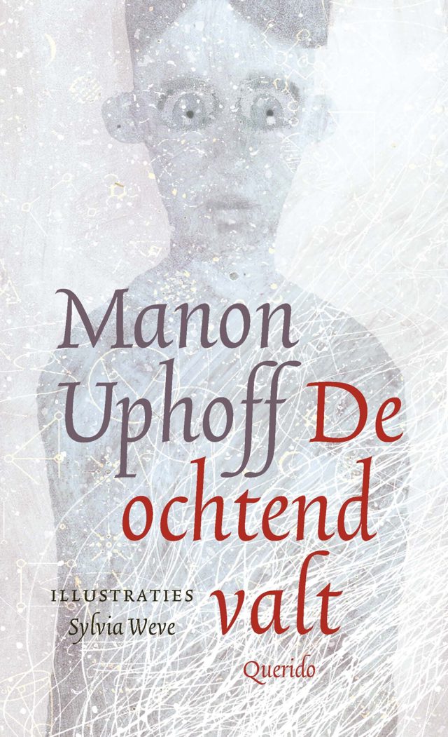Omslag van De ochtend valt