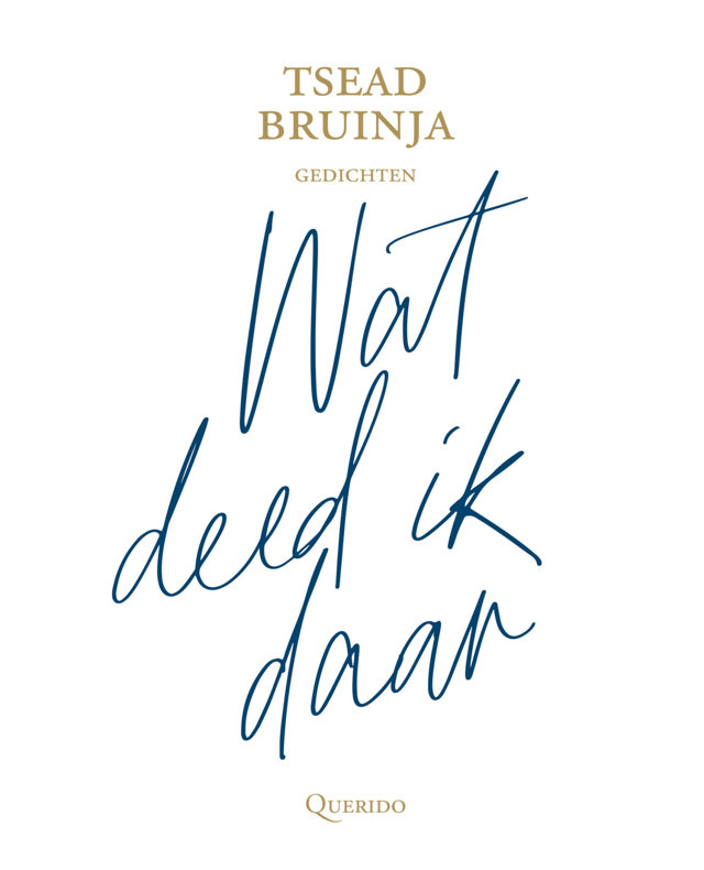 Omslag van Wat deed ik daar