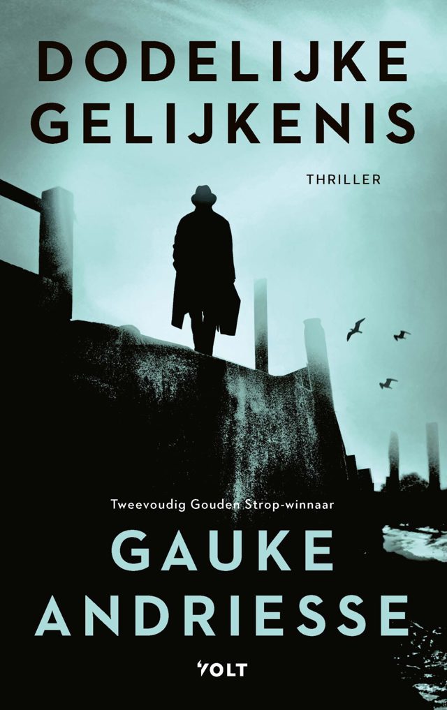 Omslag van Dodelijke gelijkenis