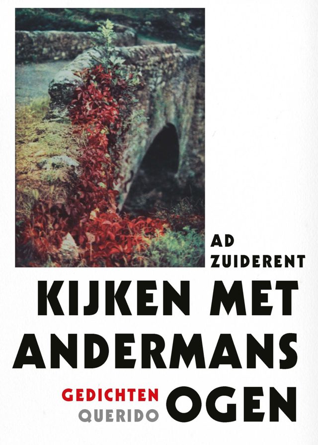 Omslag van Kijken met andermans ogen