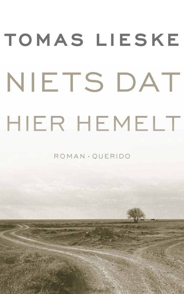 Omslag van Niets dat hier hemelt