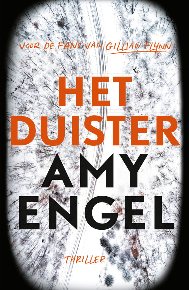 Omslag van Het duister