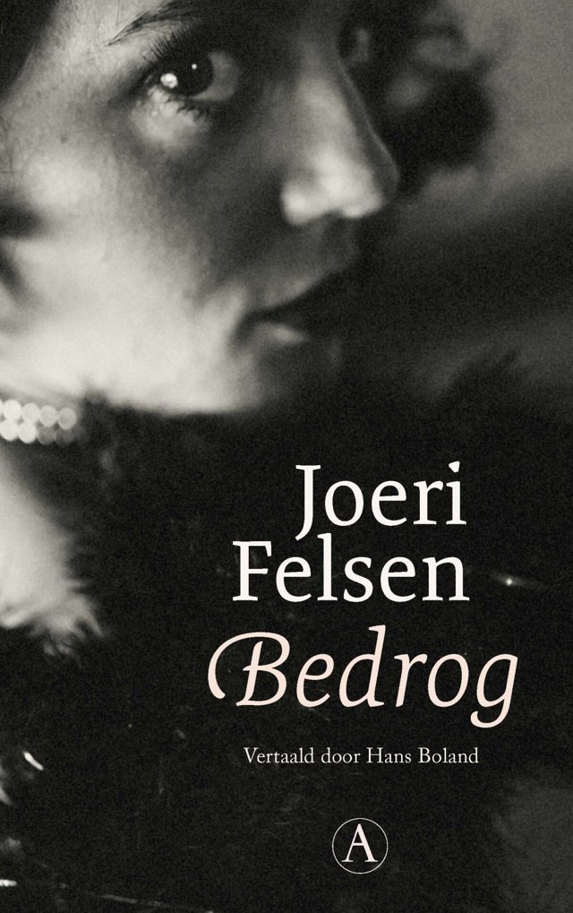 Omslag van Bedrog