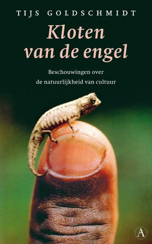 Omslag van Kloten van de engel