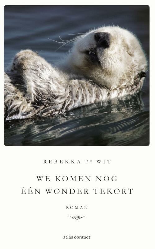 Omslag van We komen nog één wonder tekort