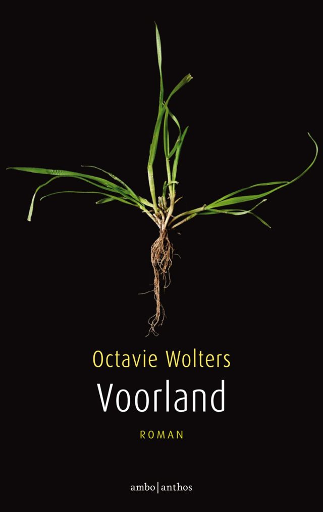 Omslag van Voorland