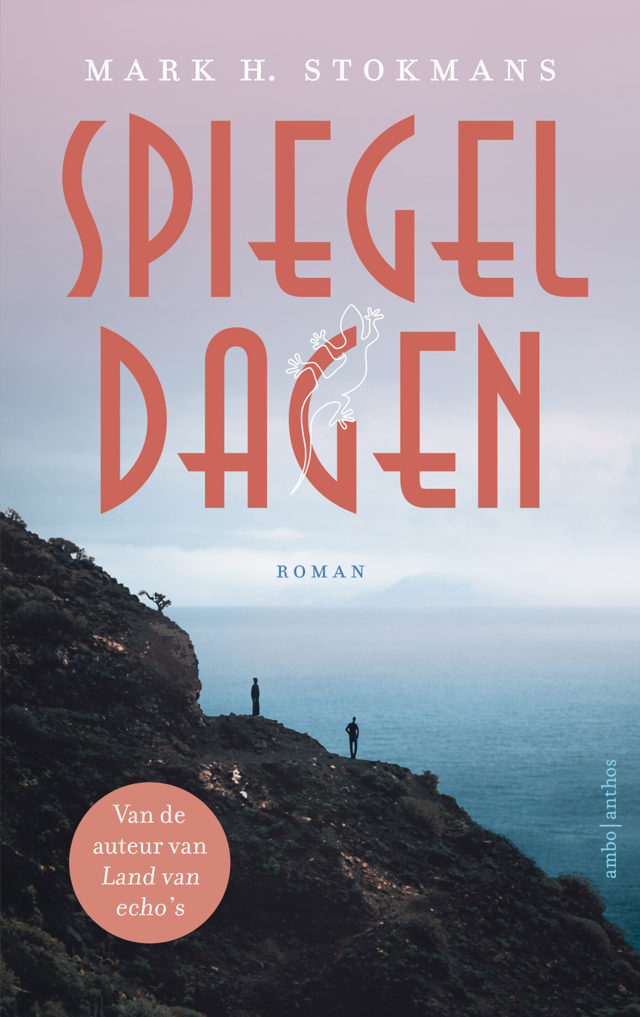 Omslag van Spiegeldagen