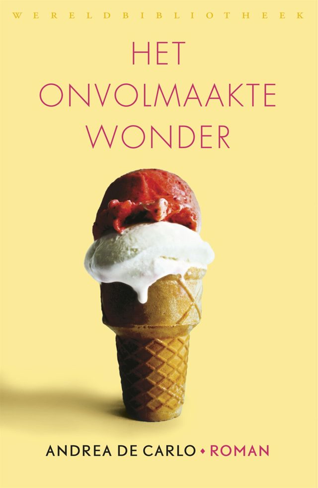 Omslag van Het onvolmaakte wonder