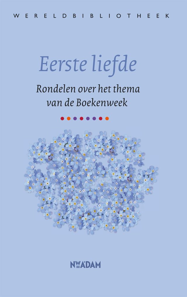 Omslag van Eerste liefde