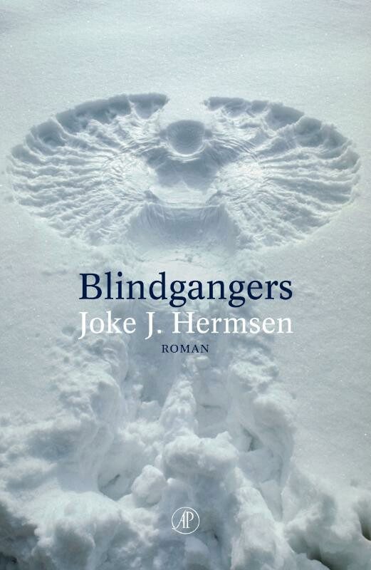 Omslag van Blindgangers