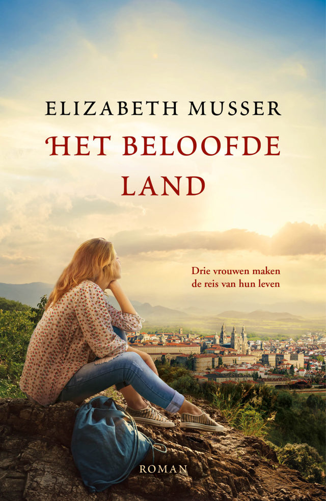 Omslag van Het beloofde land