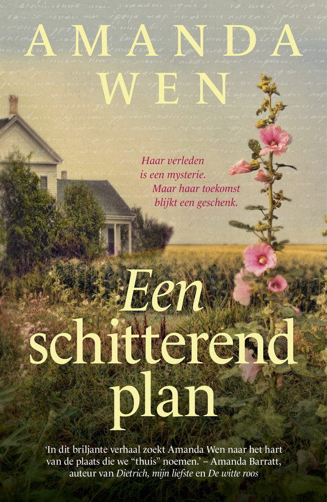 Omslag van Een schitterend plan