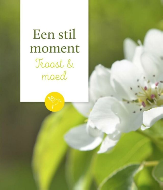 Omslag van Troost & moed