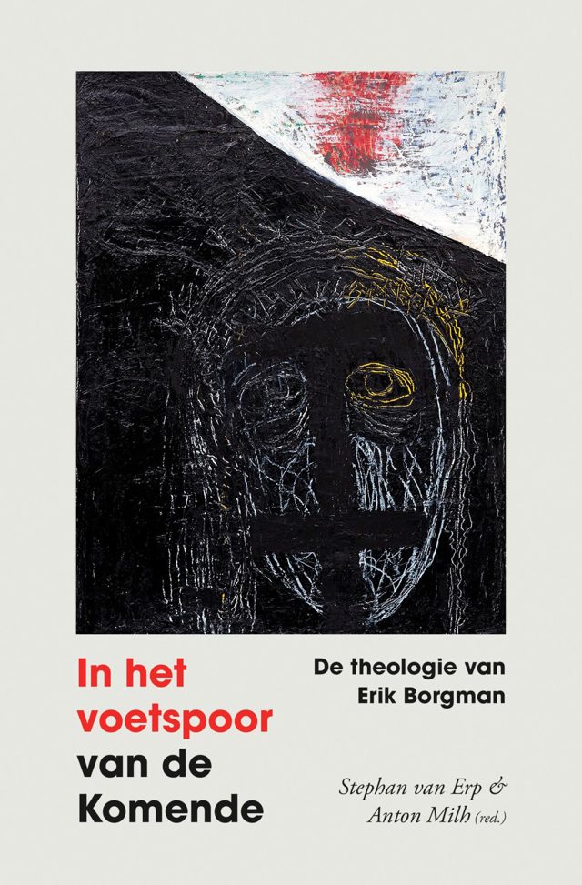 Omslag van In het voetspoor van de komende