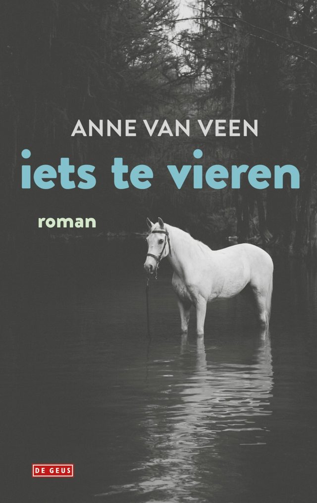 Omslag van Iets te vieren