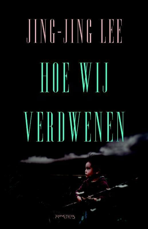 Omslag van Hoe wij verdwenen