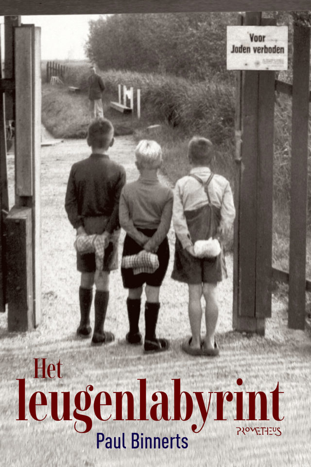 Omslag van Het leugenlabyrint