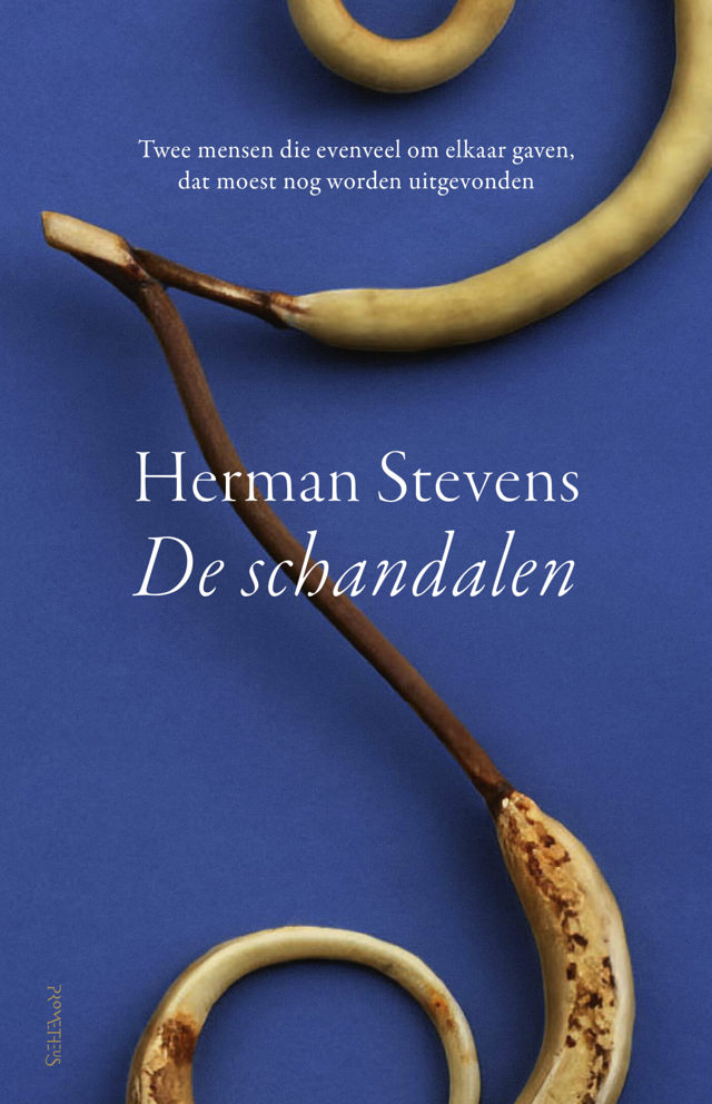 Omslag van De schandalen