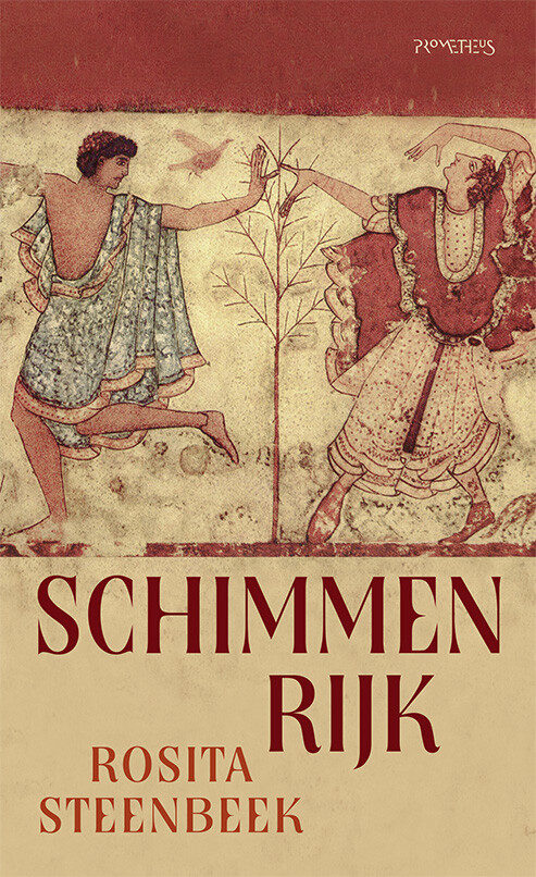 Omslag van Schimmenrijk
