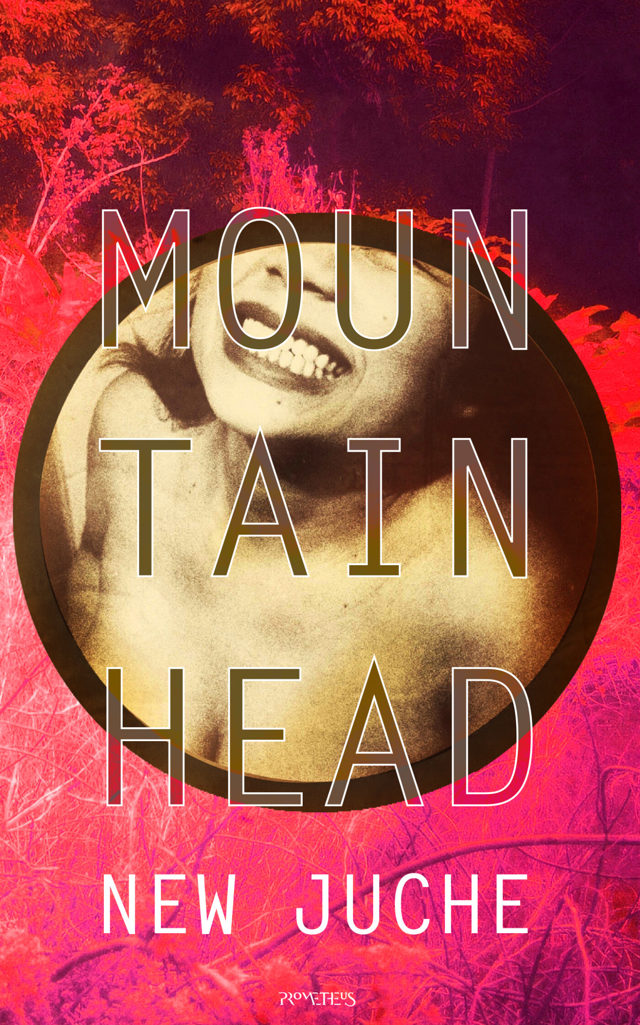 Omslag van Mountainhead