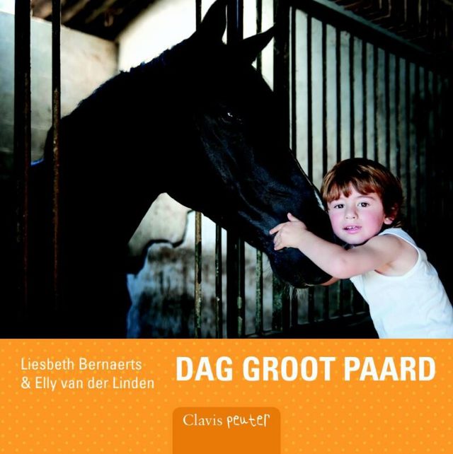 Omslag van Dag groot paard