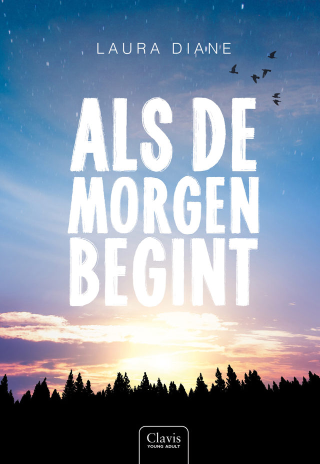 Omslag van Als de morgen begint