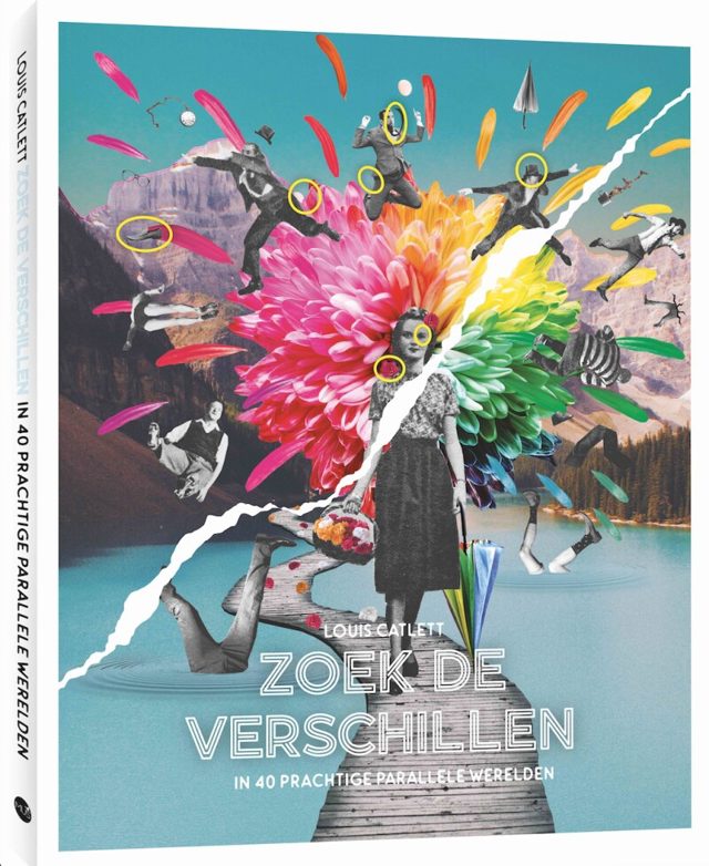 Omslag van Zoek de verschillen