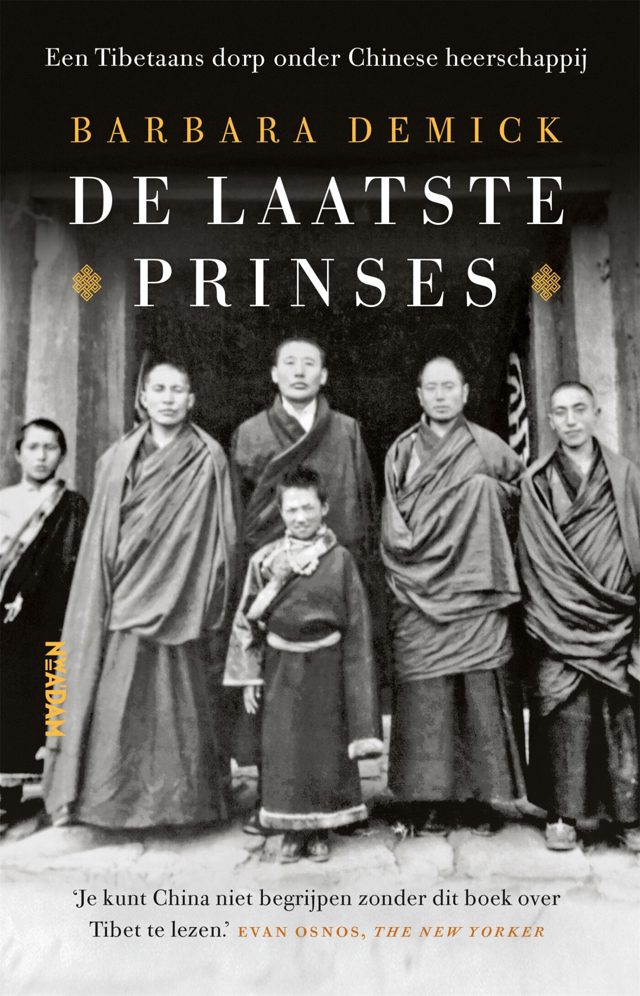 Omslag van De laatste prinses