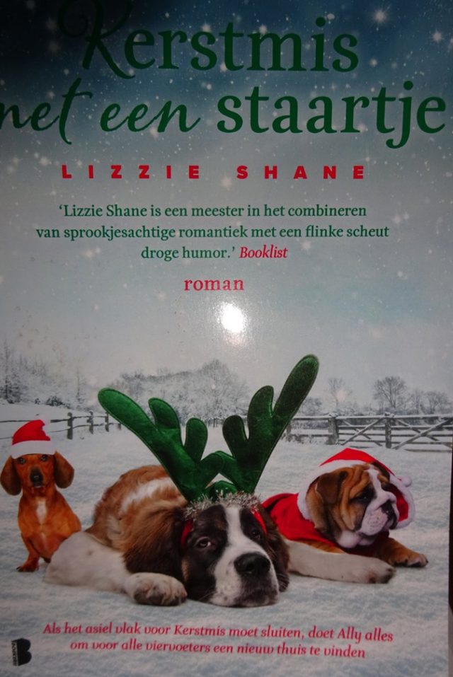 Omslag van Kerstmis met een Staartje Lizzie Shane